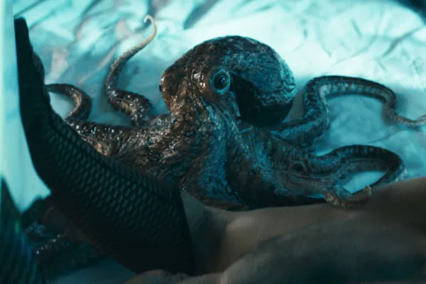 Ambrosius the Octopus voiced by Tilda Swinton on The Boys
