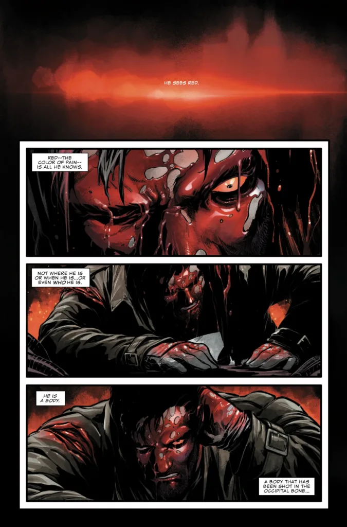 The Punisher: Red Band #1 page 3