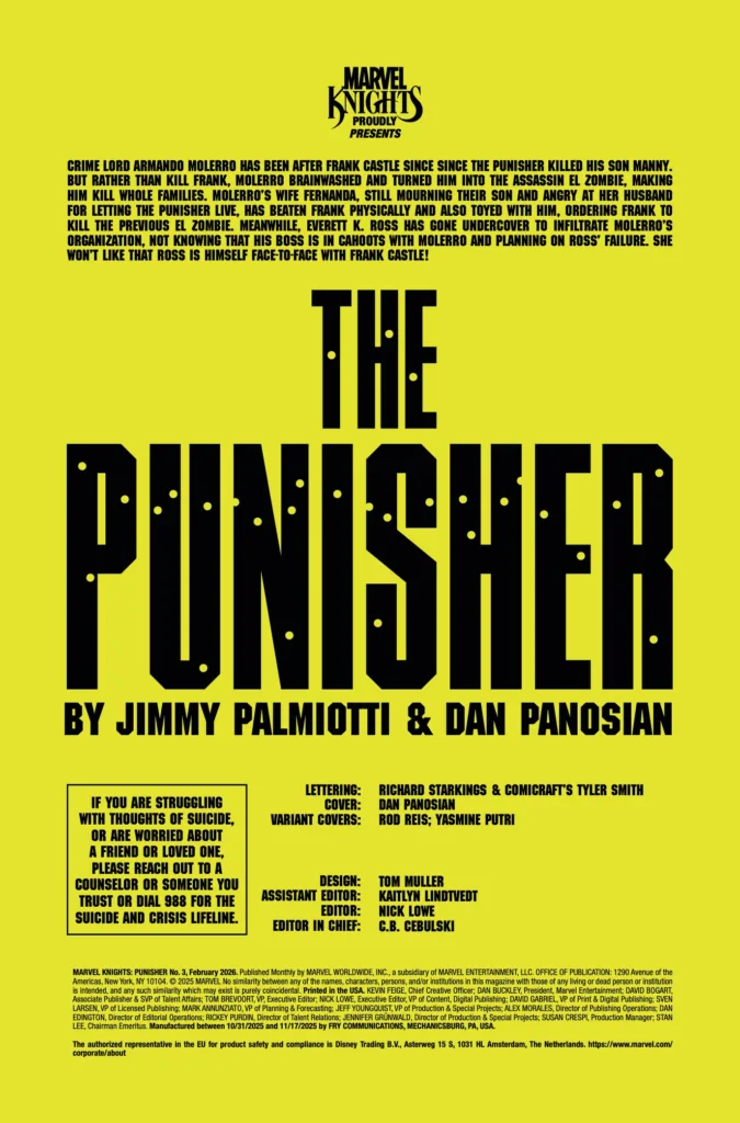 Marvel Knights: The Punisher #3 page 3