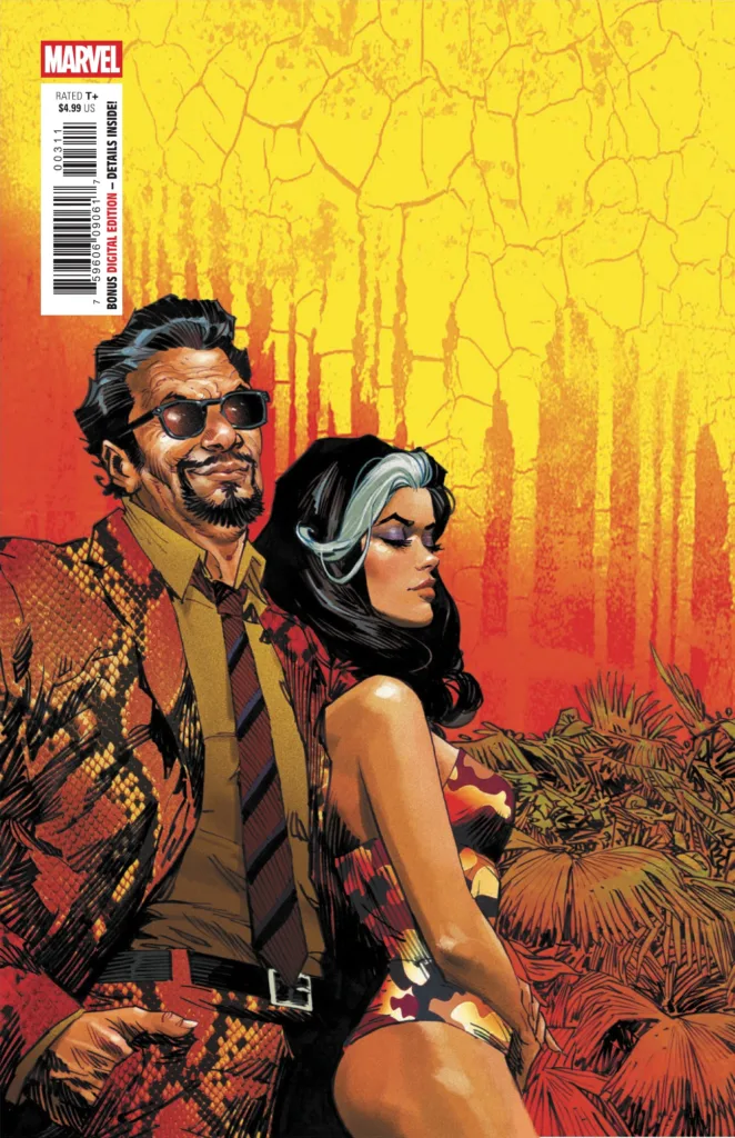 Marvel Knights: The Punisher #3 cover