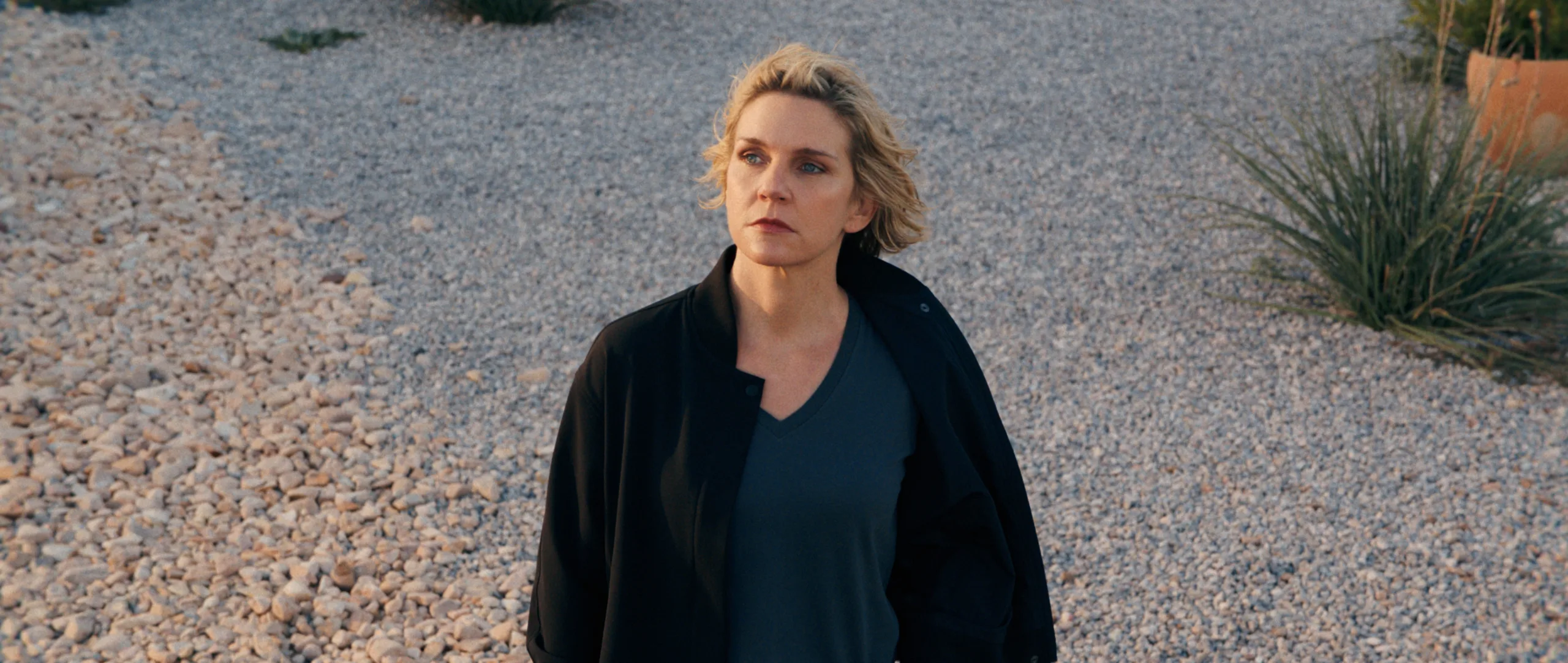 Rhea Seehorn as Carol Sturka on Pluribus Season 1 finale