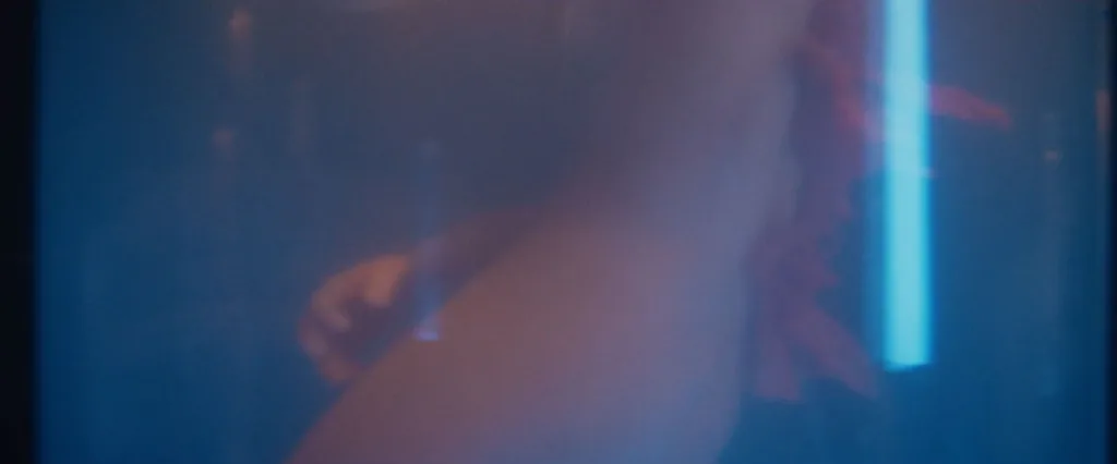 Corpse Butt on The Beauty