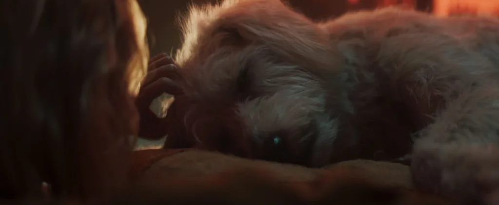 Krypto footage from Supergirl at the Puppy Bowl