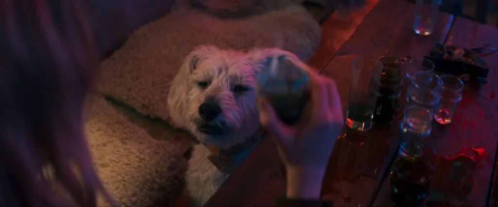 Krypto footage from Supergirl at the Puppy Bowl